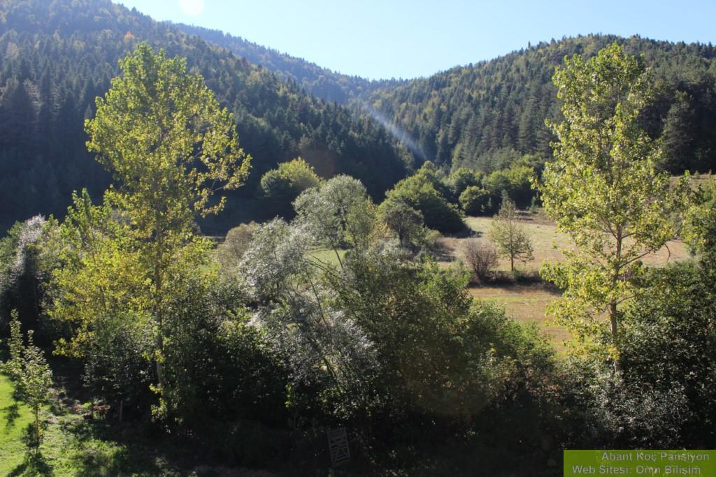 Abant Yesil Vadi Koc Pansiyon Dereceoren Exterior photo