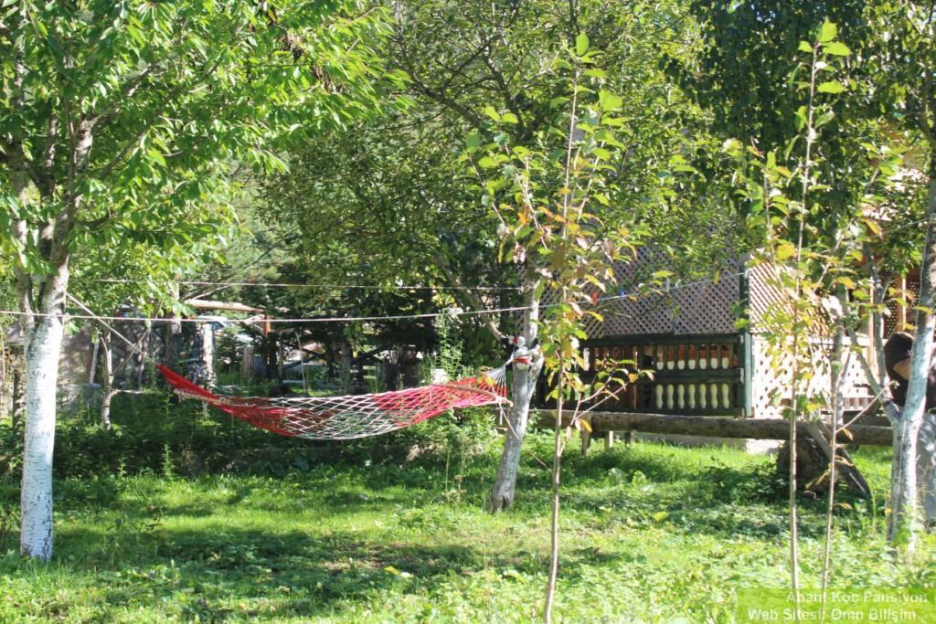 Abant Yesil Vadi Koc Pansiyon Dereceoren Exterior photo